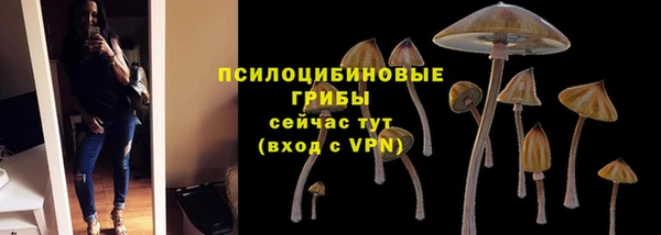 молекула духа Алексеевка