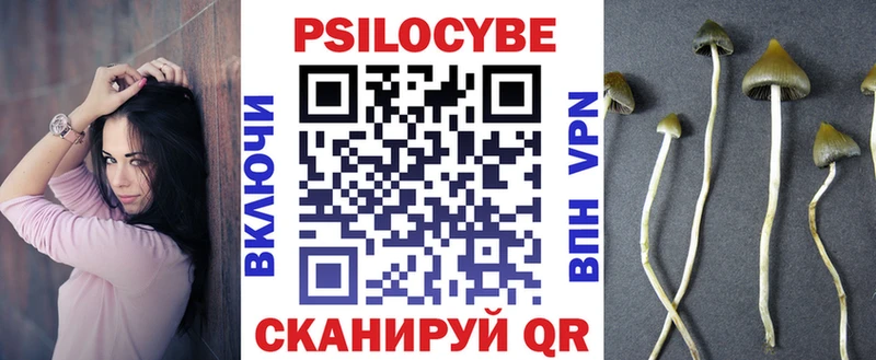 магазин продажи   Ермолино  Галлюциногенные грибы GOLDEN TEACHER 
